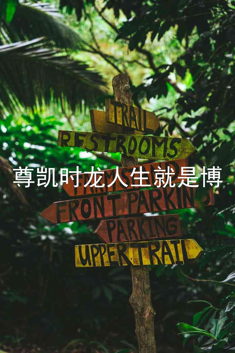 尊凯时龙人生就是博