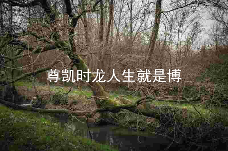 尊凯时龙人生就是博