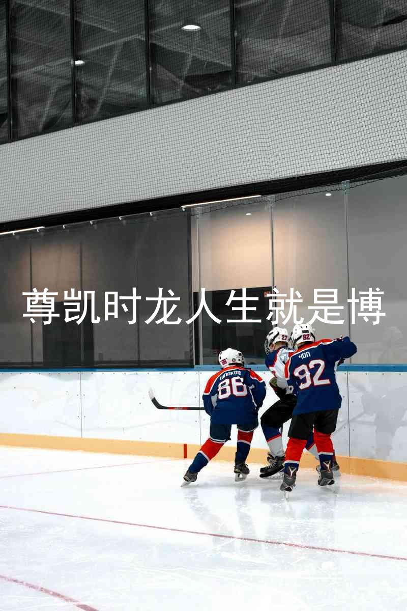 尊凯时龙人生就是博