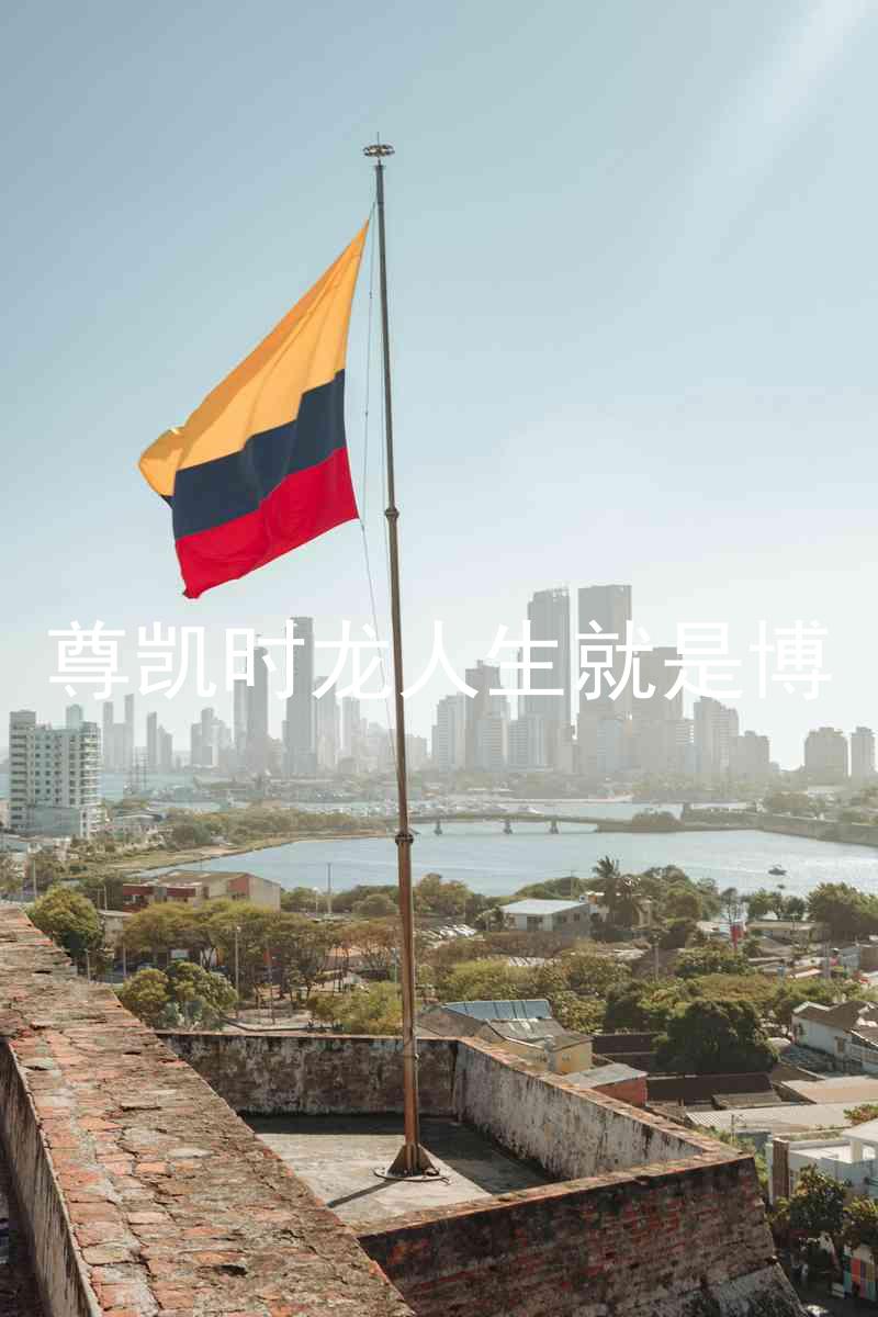 尊凯时龙人生就是博